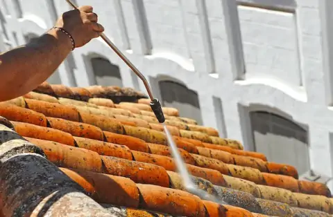 Nettoyage de toitures - Chénas